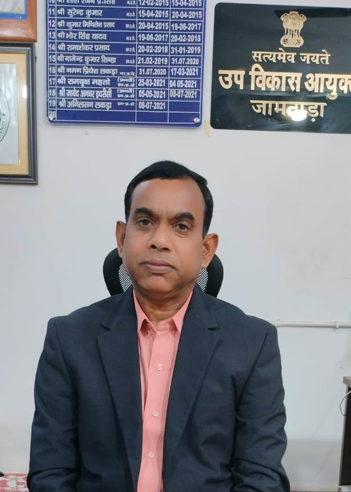 Deputy Development Commissioner